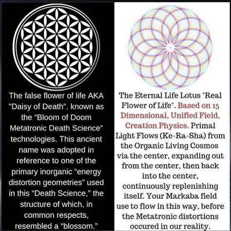 Eternal Life Lotus, Akashic Field, Sacred Geometry Symbols, Mystery School, Age Of Aquarius, Concentric Circles, Spiritual Truth, Organic Living, Crystal Magic