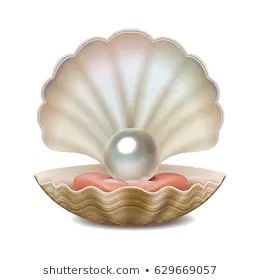 Open Sea Shell Stock Illustrations, Images & Vectors | Shutterstock Hot Glue Crystals, Aphrodite Goddess Tattoo, See Waves, Shell With Pearl, Colourful Fish, Pentacles, Flower Iphone Wallpaper, Oyster Pearl, Geometric Shapes Art