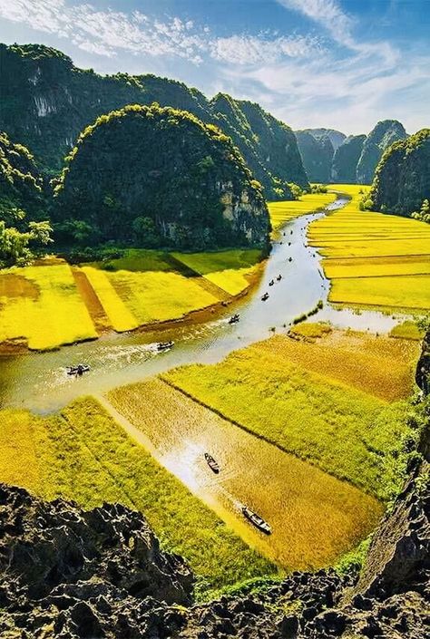 Vietnam Holidays, Forest Mural, Vietnam Travel Guide, Vietnam Tours, Lake Photography, Ha Long Bay, Halong Bay, Beautiful Sites, Philippines Travel