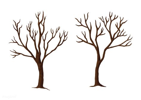 Hand drawn spooky trees in the autumn | free image by rawpixel.com Leafless Tree, Halloween Illustrations, Spooky Tree, Dry Tree, Spooky Trees, About Halloween, Halloween Tree, Tree Tree, Halloween Illustration