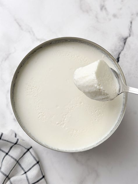 a bowl of fresh homemade curd (yogurt) with a spoon full of curd Indian Yogurt, Homemade Yogurt Recipes, Yogurt Benefits, Fermented Milk, Home Indian, Curd Recipe, Most Nutritious Foods, Veggie Delight, Low Fat Yogurt