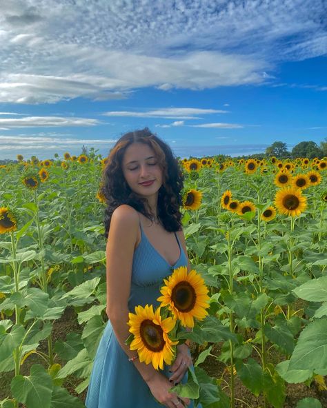 Sunflower Pictures Aesthetic, Pics With Sunflowers, Poses With Sunflowers, Pose With Sunflower, Sunflower Pics Photo Ideas, Sunflower Field Pics, Sunflower Field Instagram Pictures, Photoshoot Ideas In Field, Sunflower Pictures Photography Outfits