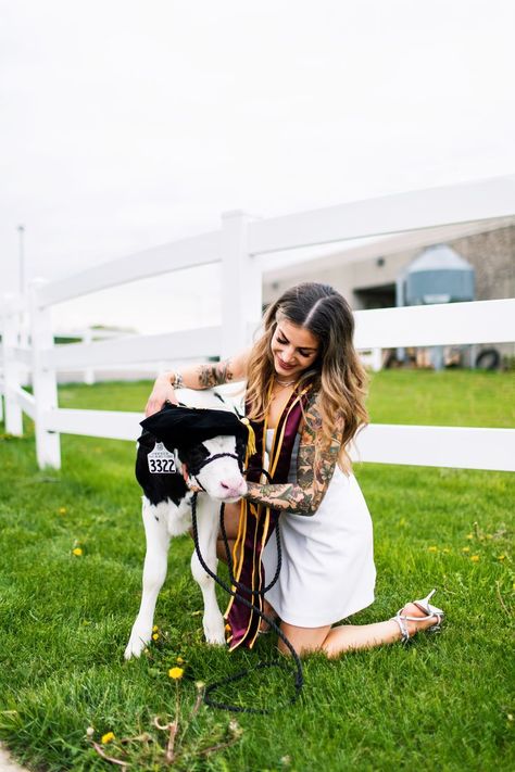 Animal Science Graduation Pictures, Vet Graduation Pictures, Vet Tech Graduation Pictures, Vet School Graduation Pictures, Graduation Pictures With Baby, Science Graduation Pictures, Calf Photoshoot, Senior Pictures With Cows, Calf Pictures