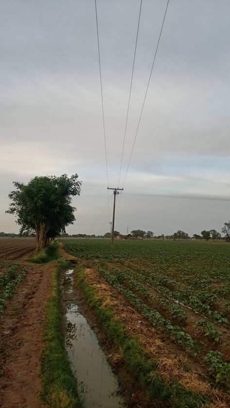 Beautiful village photo after rain Rain In Village, Rain Village, Village Photo, Streak Ideas, Rain Photo, Night Rain, Village Photos, Snap Streak Ideas Easy, 100 Things To Do