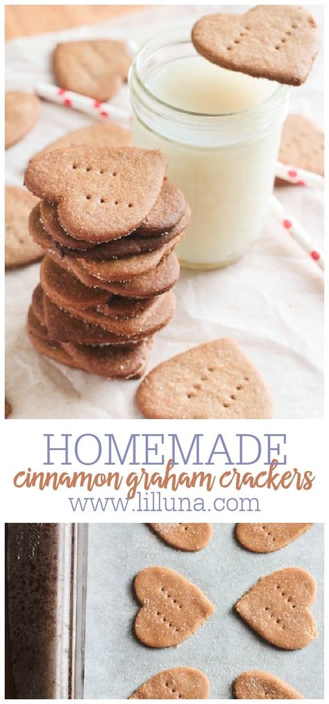 Make Cinnamon Graham Crackers at home with this simple recipe. They're even more flavorful than any store bought kind! #cinnamongrahamcrackers #grahamcrackers #cinnamon #healthy Cinnamon Graham Crackers, Cinnamon Healthy, Homemade Fruit Leather, Graham Cracker Recipes, Homemade Graham Crackers, Homemade Vanilla Ice Cream, Homemade Crackers, Cracker Recipes, Dessert Dips