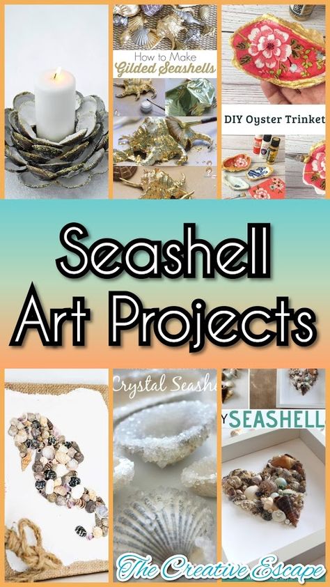 Art Projects With Shells, Crafting With Seashells, Creative Things To Do With Seashells, Craft Shells Ideas, Seashell Home Decor Diy, What To Do With Sea Shells Ideas, Crafts With Large Seashells, What To Do With Shells From The Beach Diy Ideas, Art With Seashells Diy Ideas