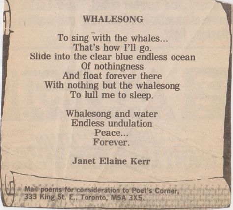 Whale Quotes, Whale Quote, Whale Song, Speaking In Tongues, Lord Huron, How To Read People, Short Poems, Dead To Me, Whale Shark