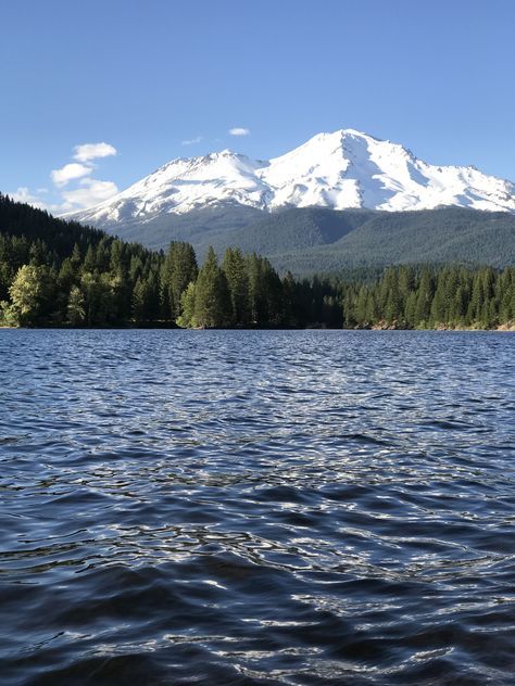 With panoramic views of the incredible Shasta National Forest, Lake Siskiyou is the recreational jewel of Northern California.  #discoversiskiyou #seesiskiyou #mtshasta #mountain #lakesiskiyou #lake #travel #California #visitcalifornia Lake Shasta California, Lake Siskiyou California, Mariposa California, Southern California Mountains, Big Pine Lakes California, Mono Lake California, Lake Shasta, Enchanting Places, Mt Shasta