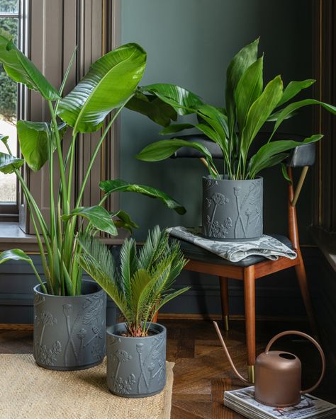 In midnight black, this sustainable stoneware planter strikes the perfect mood for the season with its dark palette.    Kew Stoneware Meadow Planter, KEOMM19      #Ivyline #Houseplant #HouseplantLover #KewGardens #RoyalBotanicGardensKew Kitchen Accessories Storage, Black Planters, Outdoor Clock, Free Standing Wall, Outdoor Mirror, Indoor Planter, Candle Plate, Southern Europe, Reactive Glaze