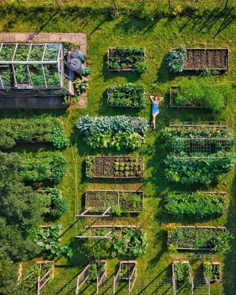 Aesthetic Home Decor Ideas, Raised Bed Gardening, Garden Home Decor, Farm Lifestyle, Aesthetic Home Decor, Home Decor Ideas Living Room, Have Inspiration, Home Aesthetic, Home Vegetable Garden