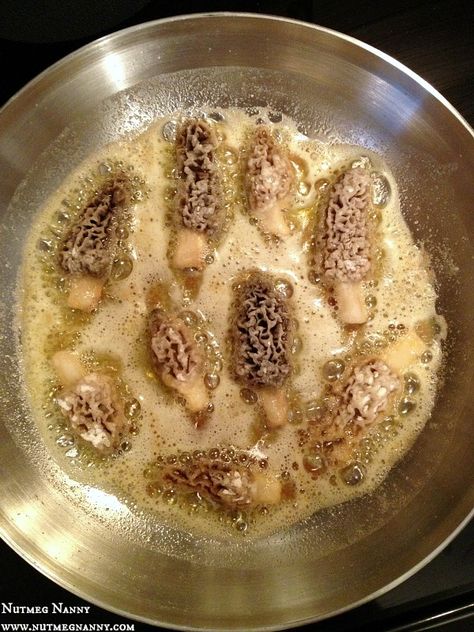 These pan fried morel mushrooms are the perfect way to use up the delicious spring mushroom. Lightly pan fried in butter and totally delicious! So get out and forage those mushrooms and get to cooking! Morels Mushrooms Recipes, Morrell Mushroom Recipes, Moral Mushrooms, Morel Recipes, Morel Mushroom Recipes, Savory Butter, Wild Mushroom Recipes, Morel Mushrooms, Foraged Food