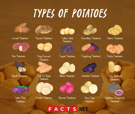 types of potatoes Kennebec Potatoes, Potato Images, Blue Potatoes, Types Of Potatoes, Yellow Potatoes, Purple Potatoes, Potato Crisps, Clam Recipes, Fingerling Potatoes