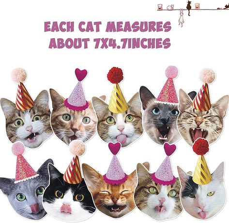 Amazon.com: Funny Cat Party Garland Meow Letter Balloons Cats Faces with Party Hats Banner Kitten Bunting Photo Props for Cat Theme Birthday Party Pet Adoption Party Supplies : Toys & Games Cat Theme Birthday Party, Balloon Cat, Ribbon Balloon, Pet Adoption Party, Cat Themed Birthday Party, Kitten Birthday, Adoption Party, Balloon Ribbon, Cute Birthday Gift