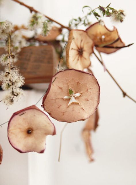 Apple Faces Dried, Apple Garland Diy, How To Make Dried Apple Slices, Dried Apple Decorations, Dried Apple Garland, Baked Apple Slices, Fruit Garland, Apple Garland, Diy Christmas Garland