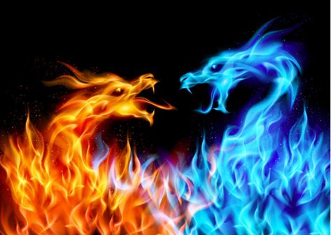 Dragon Wallpaper, Fire Dragon, Red Fire, Red, Blue, Black