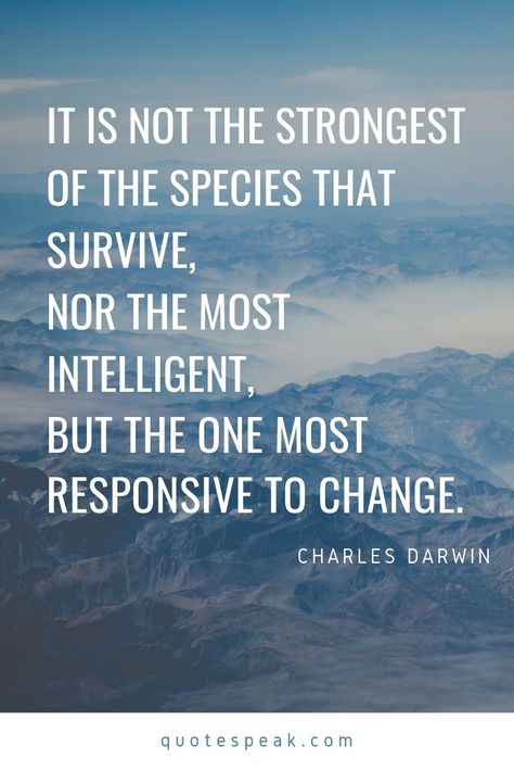 It is not the strongest of the species that survive, nor the most intelligent, but the one most responsive to change.- Charles Darwin #Motivational Quotes Charles Darwin Quotes, Professional Quotes, Gracious Quotes, How To Be Single, Experience Quotes, Quotes About Change, Happy Morning Quotes, Stoic Quotes, Smart Quotes