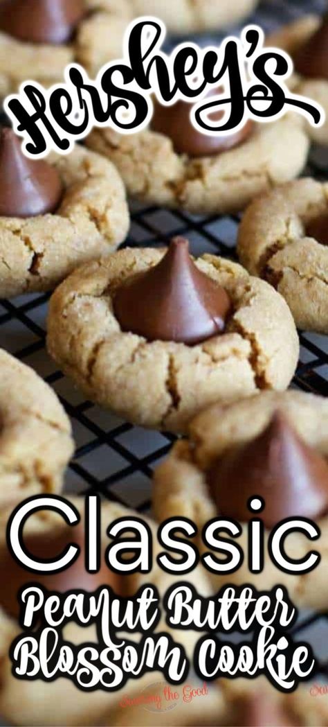 Peanut Butter Kiss Cookies Recipe, Kiss Cookie, Kiss Cookie Recipe, Hershey Kiss Cookies, Peanut Butter Blossom, Peanut Butter Kiss, Peanut Butter Kiss Cookies, Butter Cookies Easy, Peanut Butter Blossom Cookies