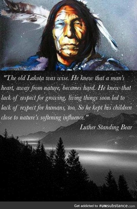 Native American Facts, Native Quotes, American Indian Quotes, Native American Prayers, Native American Proverb, Native American Spirituality, American Quotes, Indian Quotes, Native American Wisdom