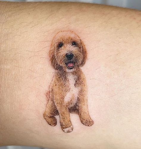 18 Best Goldendoodle Tattoo Ideas Goldendoodle Tattoo, Labradoodle Tattoo, Dog Face Tattoo, Dog Ear Tattoo, Dog Outline Tattoo, Goldendoodle Black, Goldendoodle Art, Dog Outline, Outline Tattoo