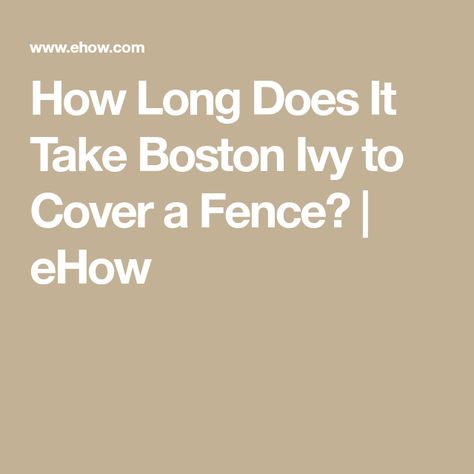 How Long Does It Take Boston Ivy to Cover a Fence? | eHow Boston Ivy Fence, Ivy Fence, Wood Fence Ideas, Parthenocissus Tricuspidata, Boston Ivy, Hardiness Zones, Ivy Plants, Fall Color, In Boston