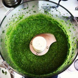 Basil-Jalapeno Pesto • total body nourishment | lauren venosta Sous Vide Tri Tip, Cooking Tri Tip, Best Sauces, How To Thicken Sauce, Veggies And Fruits, Oregano Leaves, Raw Garlic, Tri Tip, Food Italian