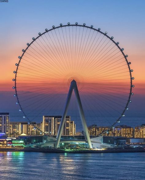 Dubai Dubai Beautiful Places, Dubai Aesthetic Photography, Dubai Ferris Wheel, Dubai Images, Dubai Pics, Dubai Landscape, Uae Aesthetic, Ain Dubai, Dubai Metro