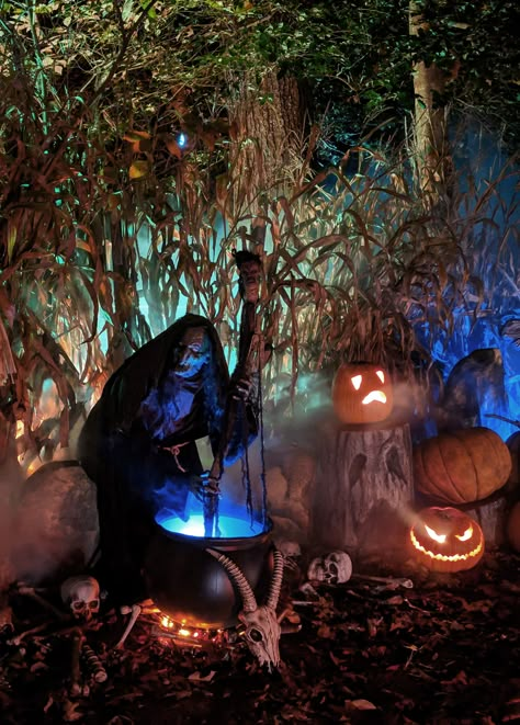 Chop Shop Halloween Decor, Halloween Witch’s Lair, Scary Halloween Ideas Haunted Houses, Scary Outdoor Halloween Decor Front Yards, Halloween Hedge Decor, Halloween Witch Display Ideas, Halloween Witch Scenes Outdoor, Witch Decor Outdoor, Halloween Walk Through Ideas Outside