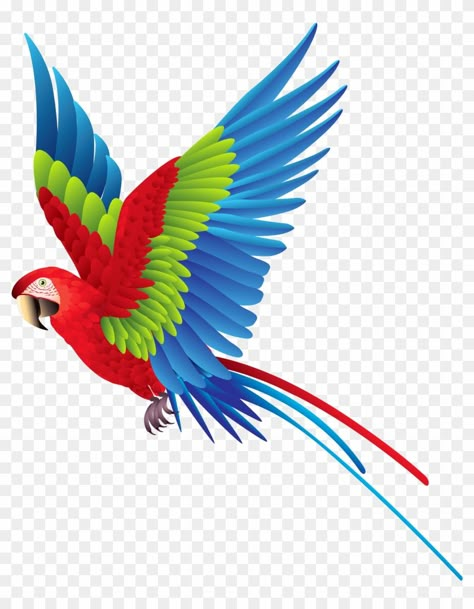 Parrot Png Hd, Parrot Png, Colourful Parrot, Flying Parrot, Jungle Images, Colour Png, Fly Bird, Birds Png, Parrot Drawing