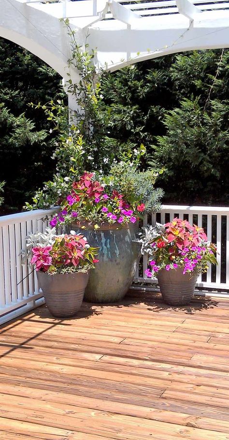 Plants On Deck, Patio Container Gardening, Patio Flowers, Container Garden Design, Potted Plants Outdoor, Container Gardening Flowers, Flower Pots Outdoor, Plants Outdoor, Patio Plants