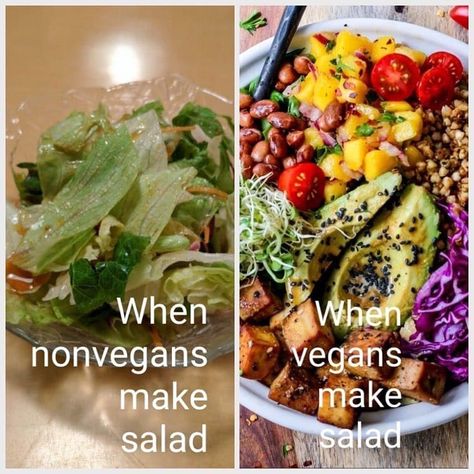 Vegan Meme, Vegan Jokes, Vegan Memes, Vegan Humor, Vegan Fitness, Vegan Salad, Vegan Life, Vegan Eating, Raw Vegan