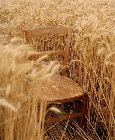 Jacquemus Brings Fashion Show To Idyllic Wheat Field Jacquemus Summer, Fashion Fotografie, Foto Cowgirl, Field Photoshoot, Fields Of Gold, Wheat Field, Wheat Fields, Nature Green, Retro Pattern