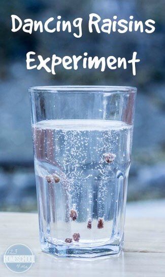 Dancing Raisins Experiment, Dancing Raisins, Vetenskapliga Experiment, 123 Homeschool 4 Me, Science Experience, Pre-k Science, Science Experiment For Kids, Science For Toddlers, Experiment For Kids