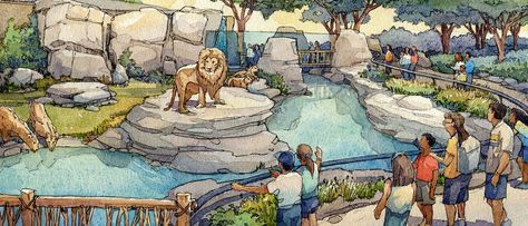 Zoo Enclosures, Zoo Drawing, Zoo Boo, Zoo Inspiration, Zoo Games, Zoo Map, Zoo Design, Zoo Book, Zoo Project