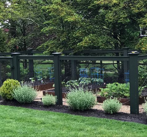 Potager Fence, Backyard Garden Fence, Fenced In Vegetable Garden, Garden With Fence, Tall Garden Fence, Fencing For Gardens, Vegetable Garden Fence Ideas, Fenced Garden Ideas, Raised Bed Gardens With Fence