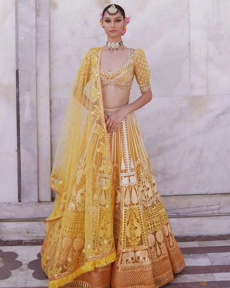 VISIT LIKE AND FOLLOW US For immediate response please call or WhatsApp us on +918099634110 Bridal lehenga.indianwedding lehenga.lehengalove.love.indianbridallehenga.indianware.saree.blouse,lehengalovers,indianbridalmakeup.bollywoodlehenga,haldi, Sangeet,haldidresses,bridalgagarhas, #lehenga #lehengalove #lehengalovers❤️❤️❤️ #lehengalovers #bridal #indianwedding #indiansaree #indianbride #indianbridalmakeup #indianbridalwear #bollywood #bigfatindianwedding #haldi #haldiceremony #usaindia... Ombre Lehenga, Haldi Look, Falguni Shane Peacock, Haldi Outfit, Bridal Lehenga Designs, Indian Outfits Lehenga, Yellow Lehenga, Lehenga Designs Simple, Indian Bride Outfits