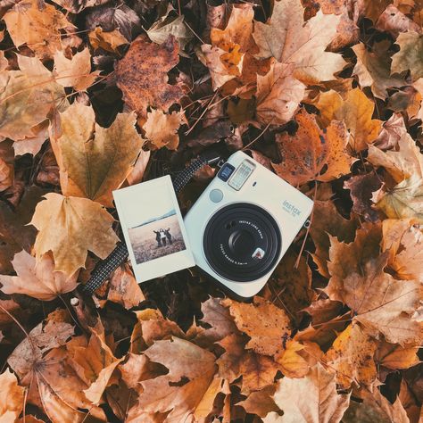 friendship, autumn, polaroid... Autumn Polaroid, Polaroids Aesthetic, Instax Mini 70, Love And Understanding, Screen Aesthetic, Raining Outside, Polaroid Pictures, Fallen Leaves, Iphone Aesthetic