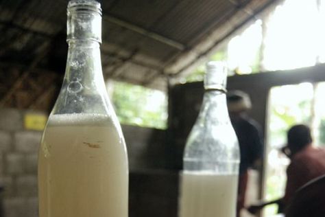 Image courtesy: Wikipedia Palm Wine, West African Food, Clean Pots, Free Beer, 5 De Mayo, Leyte, Wine Top, Alcohol Content, Old Bottles