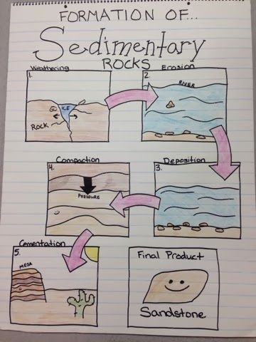 Sedimentary Rocks Anchor Chart Miller's Science Space Earth Science Lessons, Rock Science, Fourth Grade Science, Science Anchor Charts, Ngss Science, 3rd Grade Science, Rock Cycle, Third Grade Science, 8th Grade Science