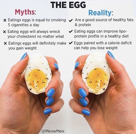 Benefits Of Eating Eggs, Funny Eggs, Eating Eggs, Calorie Deficit, Some Questions, Insulin Resistance, High Cholesterol, Nutritional Value, Living A Healthy Life