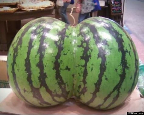 Water Mel-ass ( ͡° ͜ʖ ͡°) | Know Your Meme Fruits And Vegetables, Grape Vines, Latest News, Watermelon, Fruit, Canning, Memes