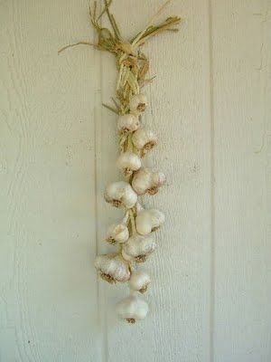 After harvesting garlic (and onions) you braid the stems together and hang in a cool dry area. I think it's attractive too Garden Garlic, Veggie Garden Layout, Easy Garden Ideas Landscaping, Harvesting Garlic, Basket Garden, Dream Backyard Garden, Urban Backyard, Backyard Garden Layout, Tropical Backyard