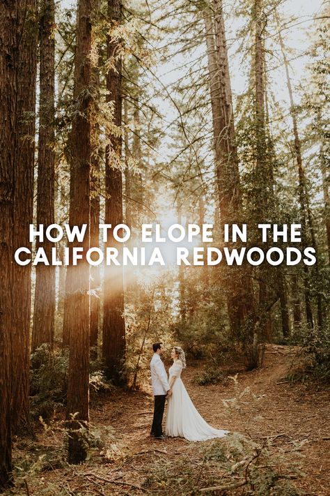 Guide to planning an elopement in the California redwoods, including how to decide whether to elope, top redwood locations, elopement costs, and step-by-step process on how to plan an elopement Redwood Forest Wedding Elopements, Redwood Forest Elopement, Where To Elope In The Us, Elopement Destinations In The Us, Elope California, Sequoia Elopement, Elopement Honeymoon, Redwood Elopement, California Elopement Locations