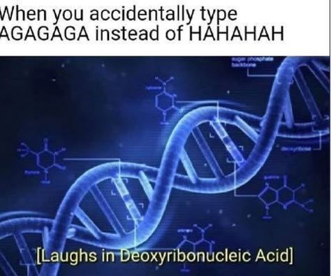 Biology Jokes, Biology Memes, Biology Humor, Medical Memes, Nerdy Jokes, Nerd Memes, Nerdy Humor, Studying Memes, Science Puns