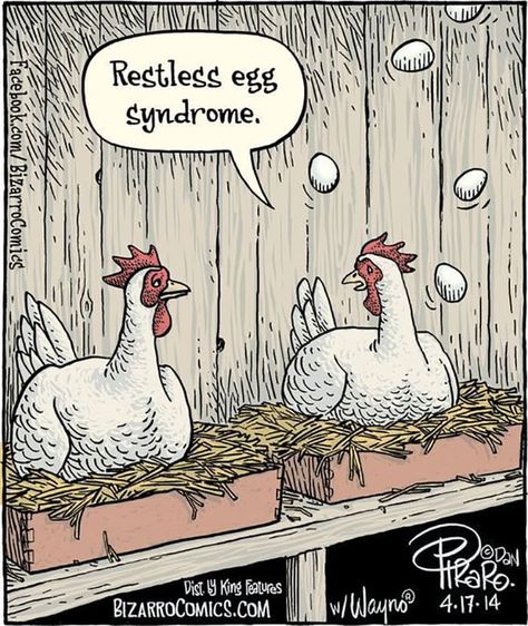 These egg puns will crack you up unless you're hard-boiled or just a bad egg. Enjoy them near Easter, Ostara, or any spring holiday! #easterpuns #springpuns #eggpuns #puns Chicken Puns, Egg Puns, Funny Chickens, Chicken Jokes, Bizarro Comic, Farm Humor, Restless Leg, Funny Eggs, Medical Humor