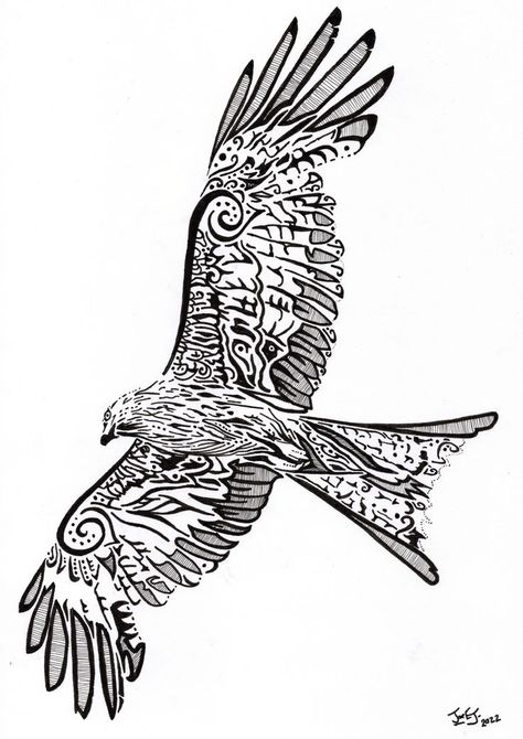 a pattern design of a red kite soring in the sky https://www.redbubble.com/shop/ap/106262038?asc=u Red Kite Tattoo Design, Red Kite Drawing, Red Kite Bird Tattoo, Red Kite Tattoo, Kite Bird Tattoo, Red Kite Bird, Kite Tattoo, Kite Bird, Tattoo Fixes