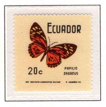 Ecuador Tattoo Ideas, Ecuador Stamp, Ecuador Tattoo, Patchwork Sleeve, Body Makeup, Body Modifications, Ecuador, Small Tattoos, Tatting