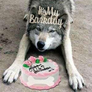 Happy Birthday Wolf, Silly Happy Birthday, Off White Comic, High Quality Background, House Of Wolves, Quality Background, Wolf World, Birthday Wishes Greetings, Halloween Background