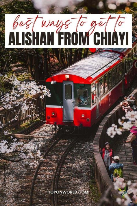 Alishan Taiwan, By Bus, Tips For Traveling, Taiwan Travel, Planning A Trip, Local Guide, Taiwan, Travel Blog, Travel Guide