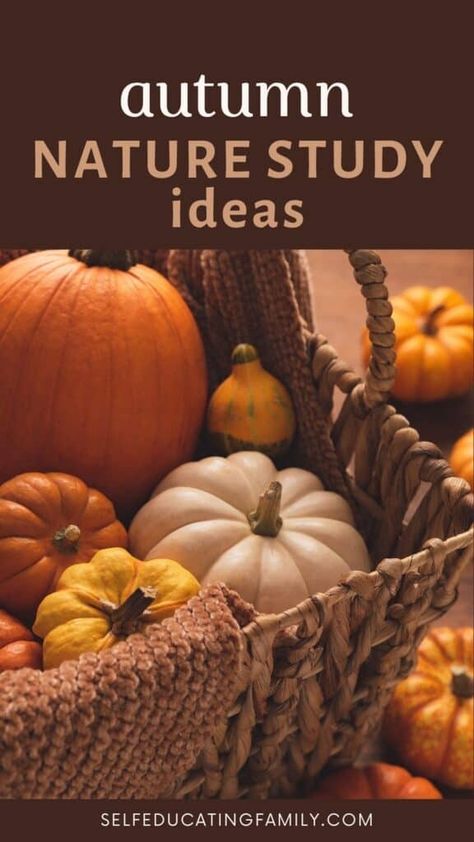 Fall Nature Study Ideas | Self Educating Family Fall Nature Study, East Coast Fall, Leaves Changing Color, Fall Nature, Leaf Outline, Study Ideas, Pressed Leaves, Free Checklist, Nature Table