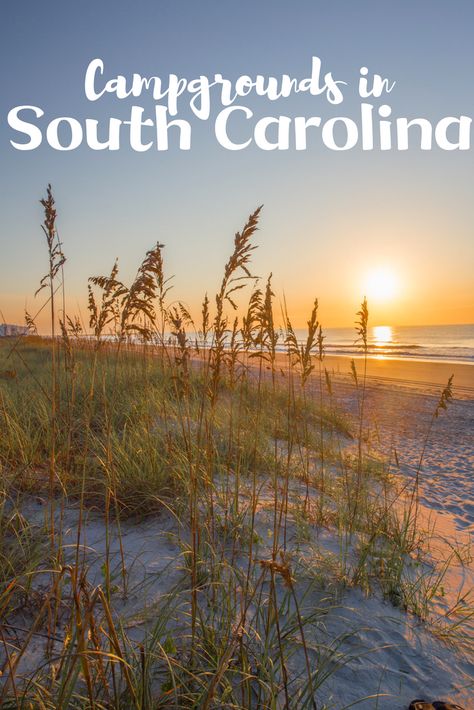 Check out these campgrounds in South Carolina Camping In South Carolina, Myrtle Beach Things To Do, Rv Trips, Camping For Beginners, Trailer Camping, South Carolina Beaches, Camping Destinations, Myrtle Beach South Carolina, Camping Locations